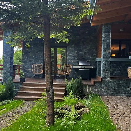 Bazalt Wellness Villa Harghita-Băi Extérieur photo