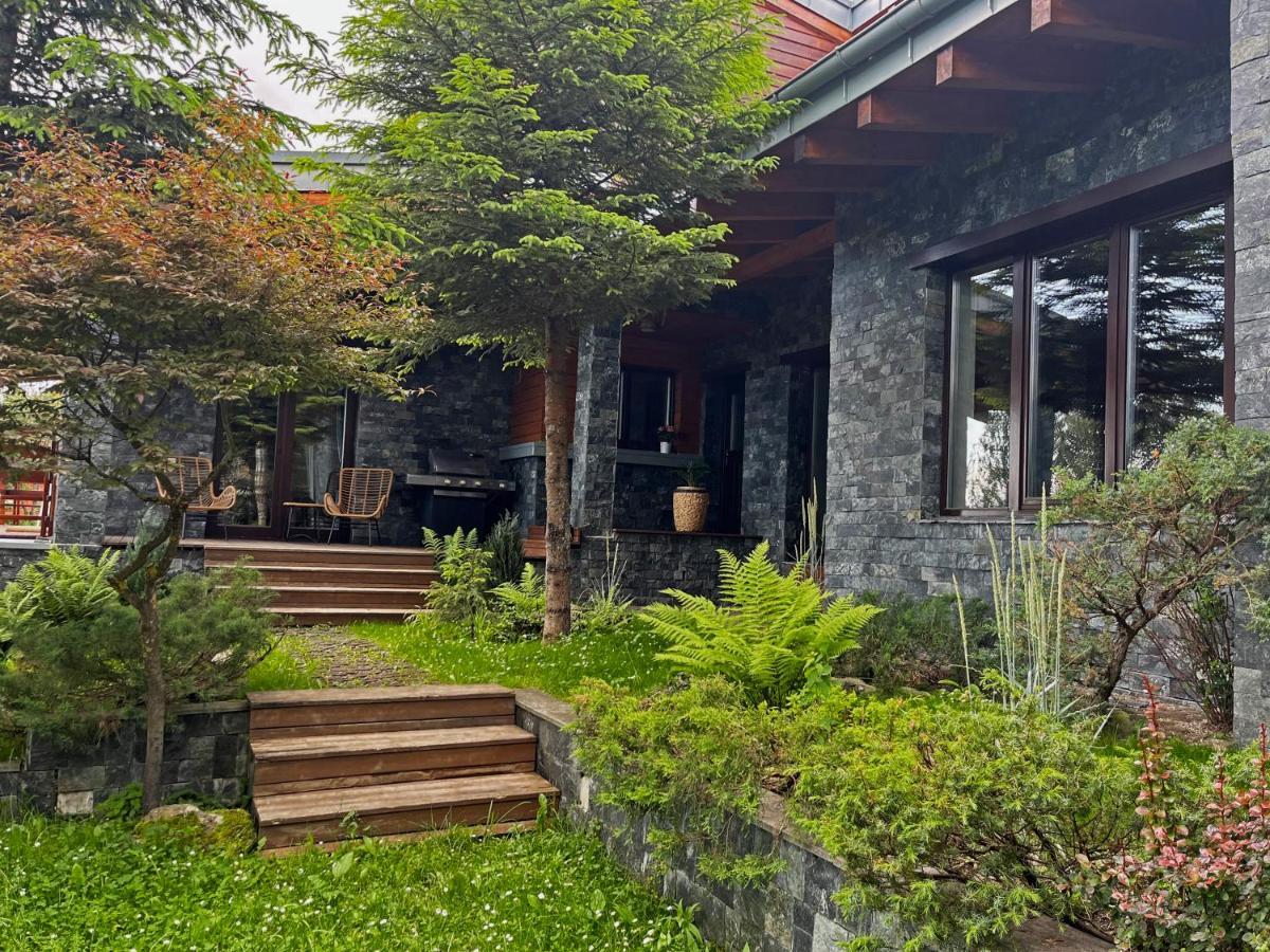Bazalt Wellness Villa Harghita-Băi Extérieur photo
