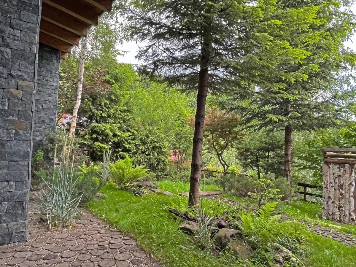 Bazalt Wellness Villa Harghita-Băi Extérieur photo