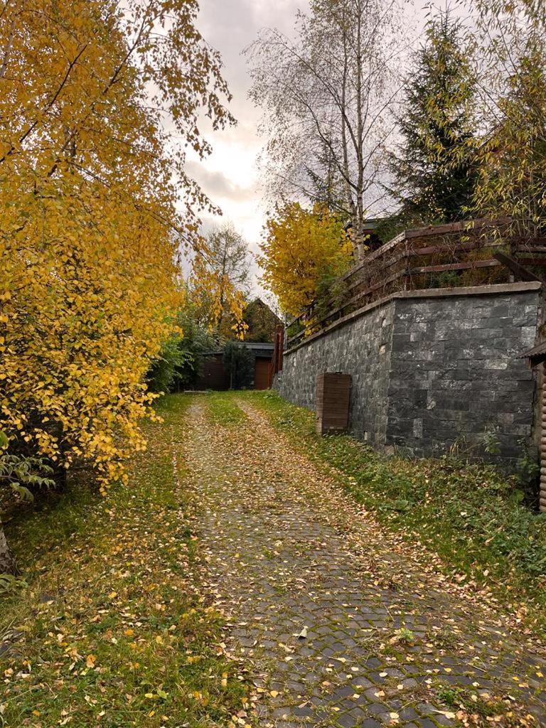 Bazalt Wellness Villa Harghita-Băi Extérieur photo