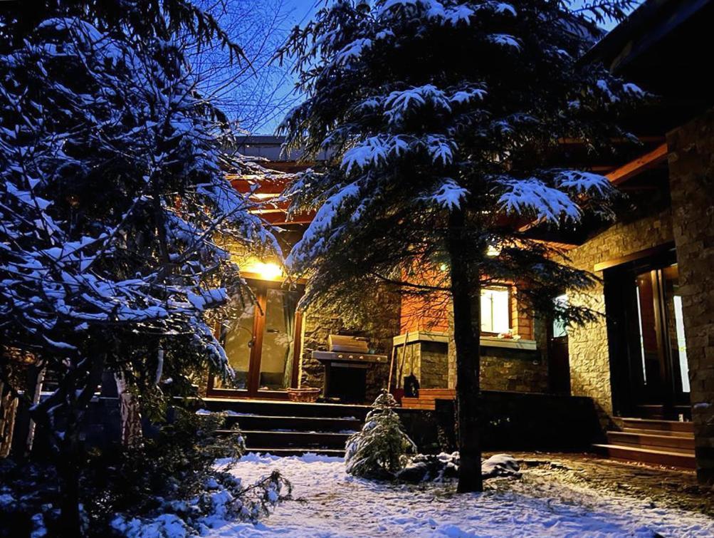Bazalt Wellness Villa Harghita-Băi Extérieur photo